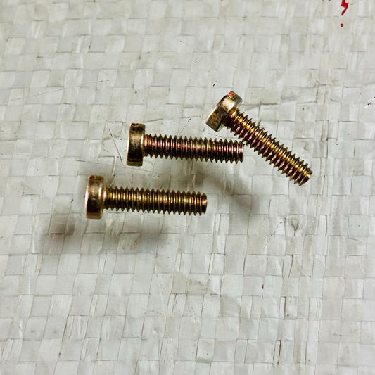 Typewriter general screw long size 50pcs for manual typewriter repair RR Typewriter Mart