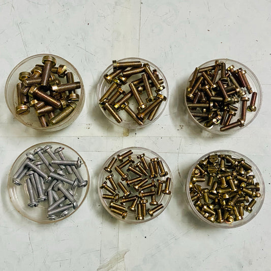 Assorted manual typewriter screws in six sizes for repair work at RR Typewriter Mart typewriter parts store