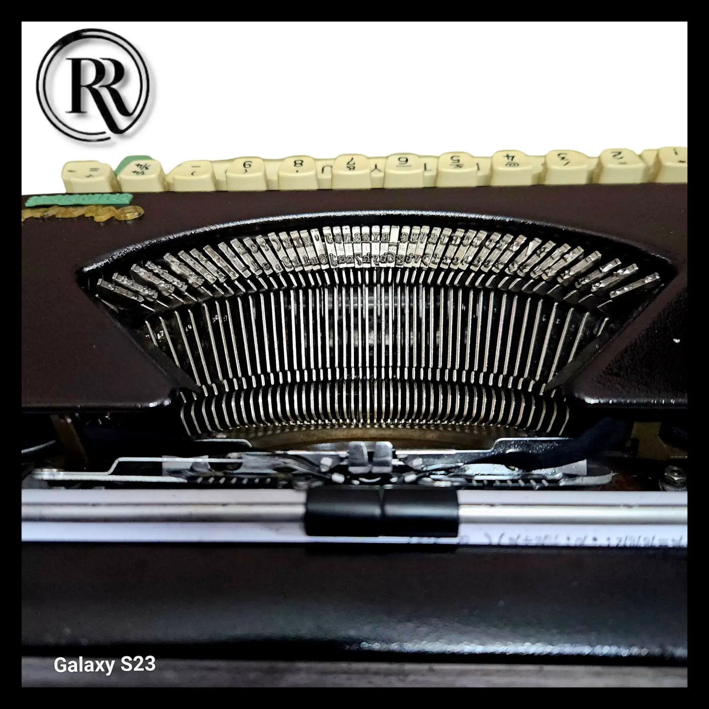 Olympia Splendid 33 Oyster Black